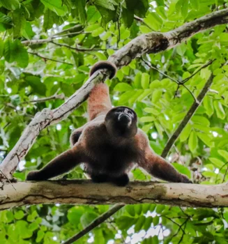 IMG_6052-2-1536x1024-optimized